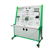 Gasoline Fuel Injection Control System with Auto Fault